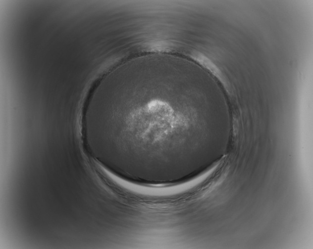 X0000089670581200707051550
