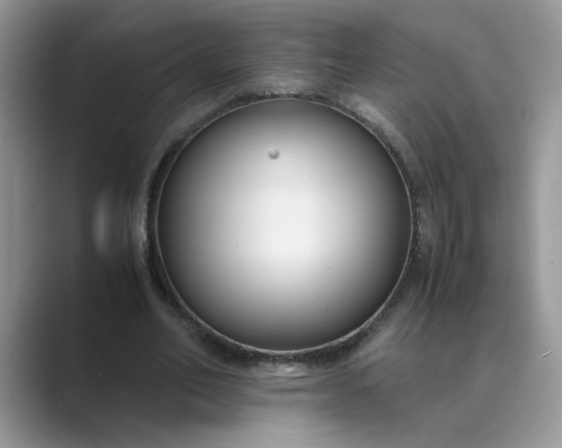 X0000089670582200707051550