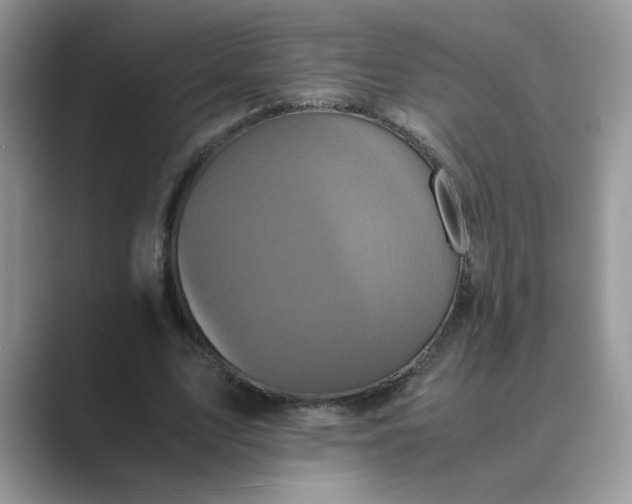 X0000089670583200707051550