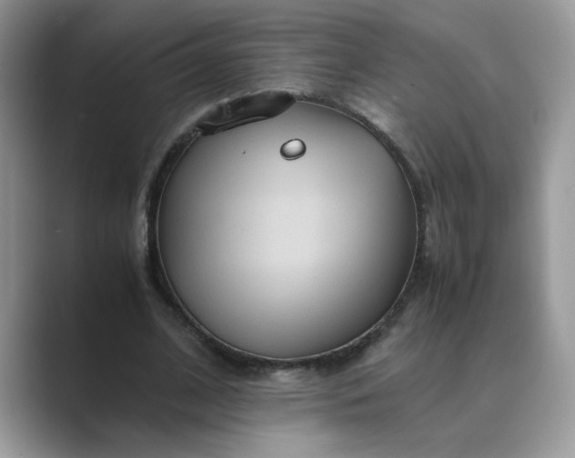 X0000089670584200707051550