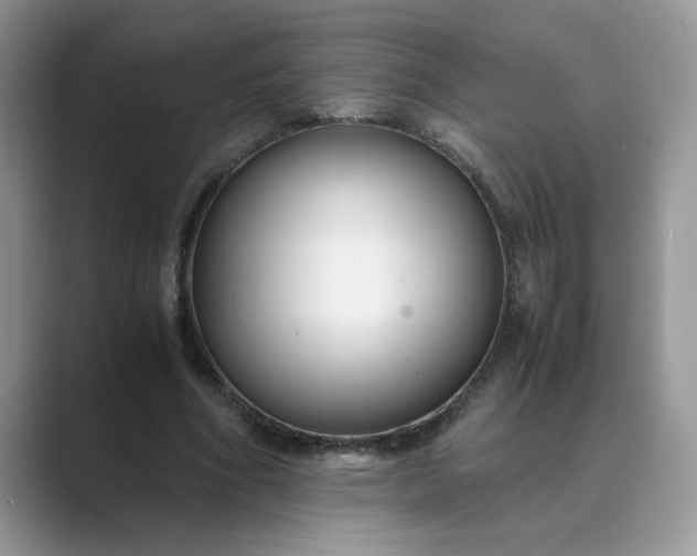 X0000089670586200707051550