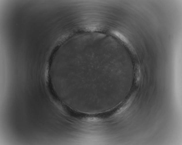 X0000089670590200707051550