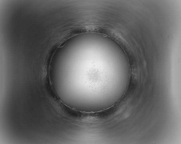 X0000089670593200707051550