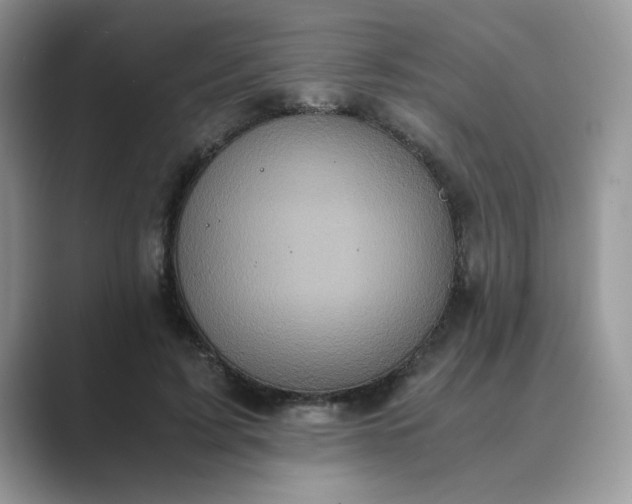 X0000089670595200707051550