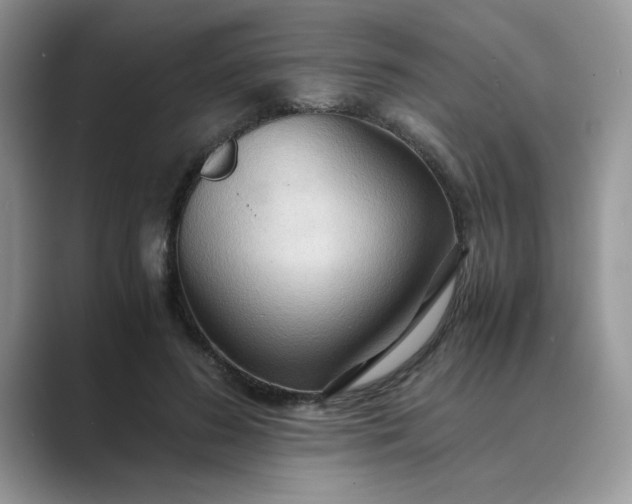 X0000089670596200707051550