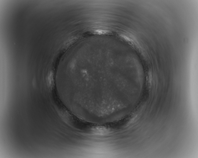 X0000089670598200707051550