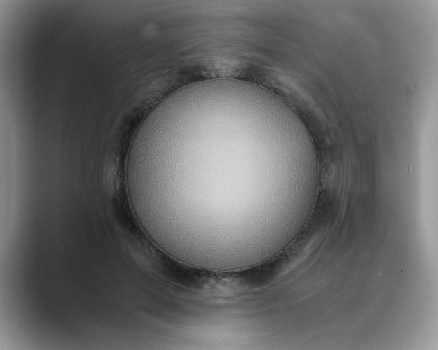 X0000089670599200707051550