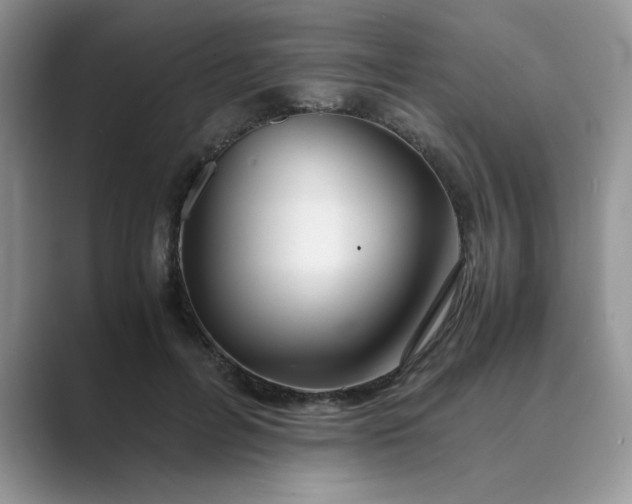 X0000089670600200707051550