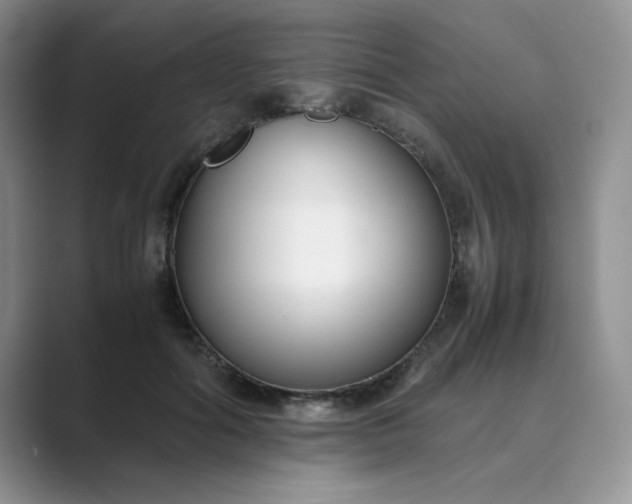 X0000089670602200707051550