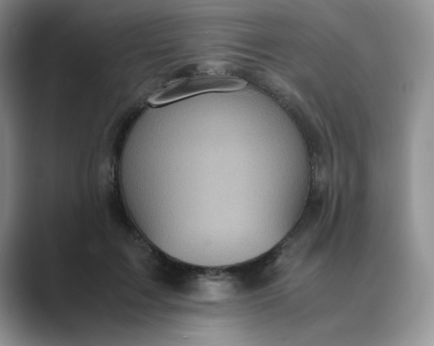 X0000089670603200707051550