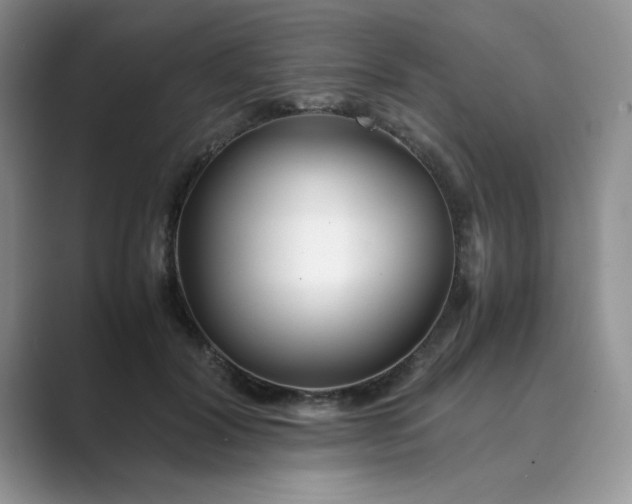 X0000089670604200707051550