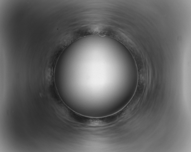 X0000089670605200707051550