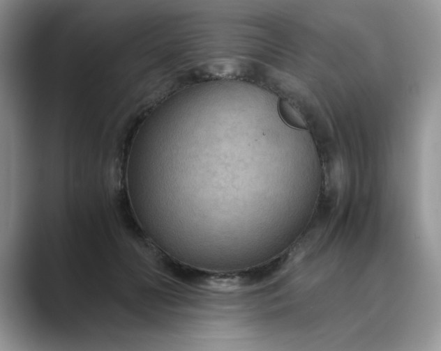 X0000089670606200707051550