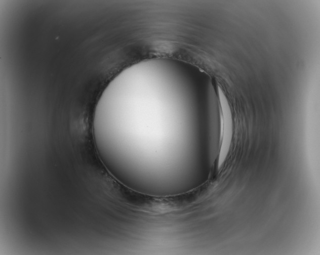 X0000089670608200707051550