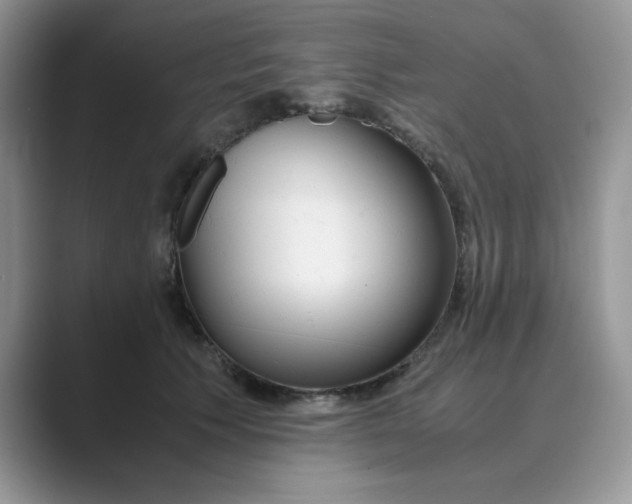 X0000089670609200707051550