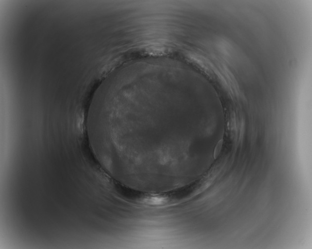 X0000089670610200707051549