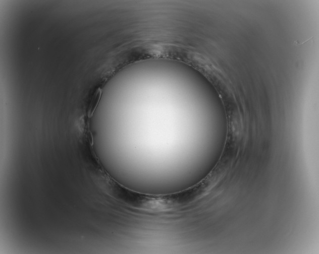 X0000089670611200707051549