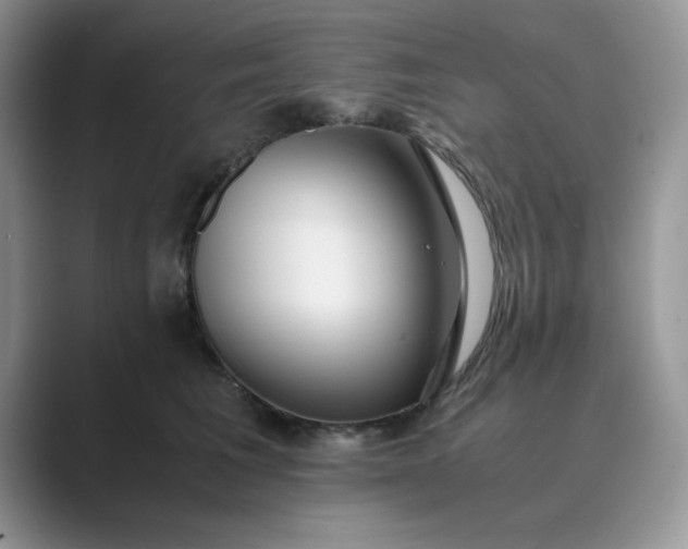 X0000089670613200707051549