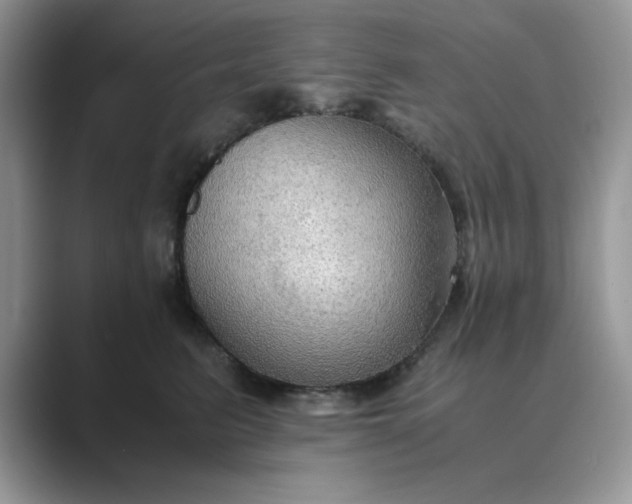 X0000089670615200707051549