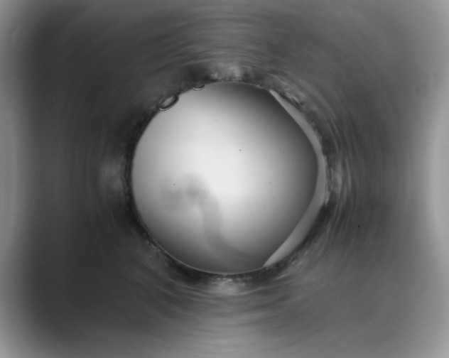 X0000089670616200707051549