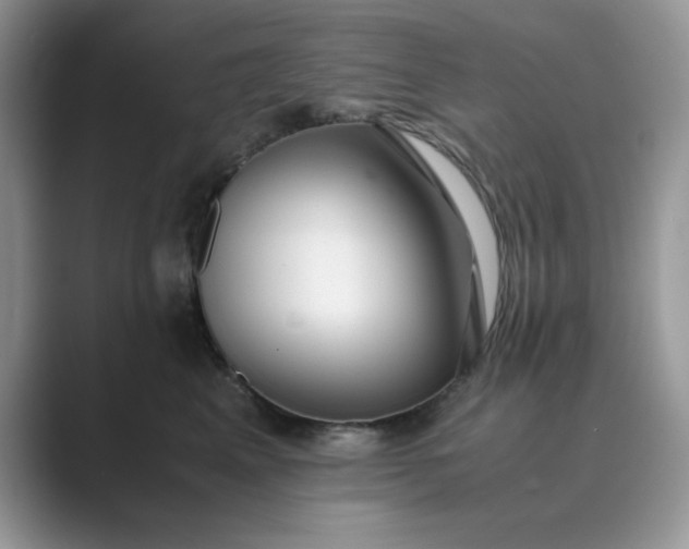 X0000089670617200707051549