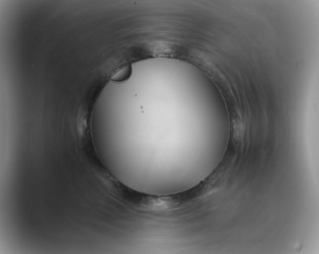 X0000089670618200707051549