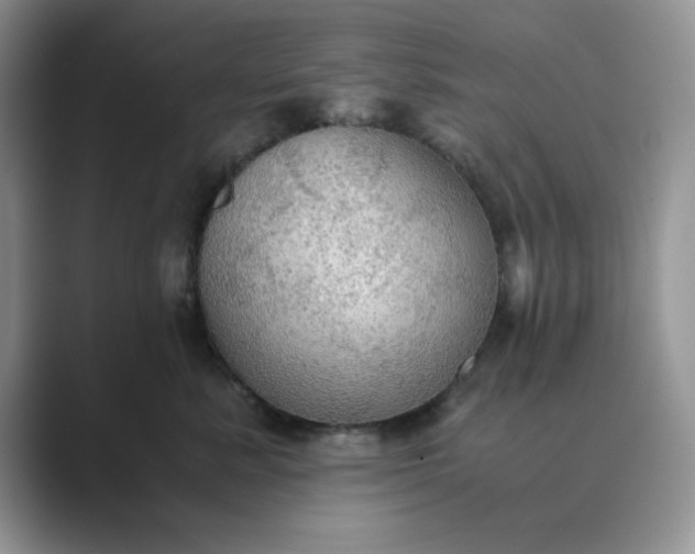 X0000089670619200707051549