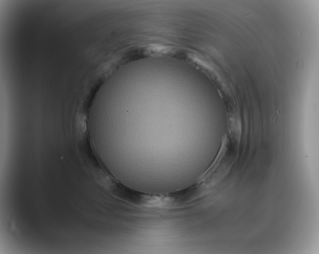 X0000089670621200707051549