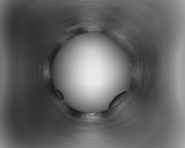 X0000089670622200707051549