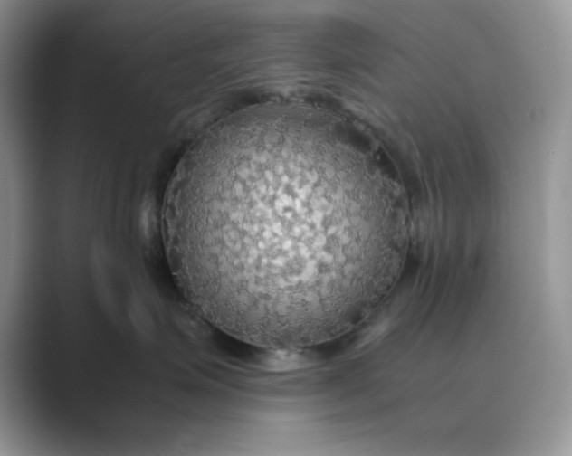 X0000089670623200707051549