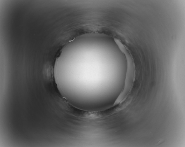 X0000089670624200707051549