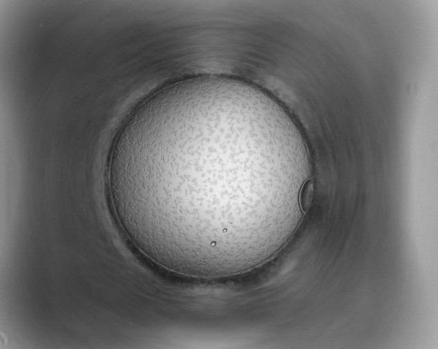 X0000089670625200707051549