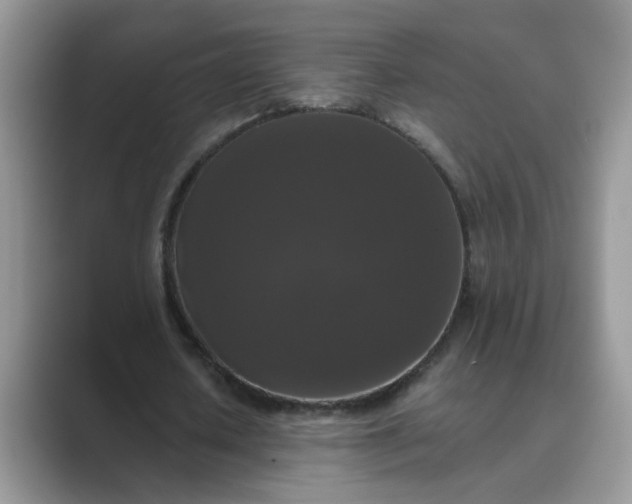 X0000089670626200707051549