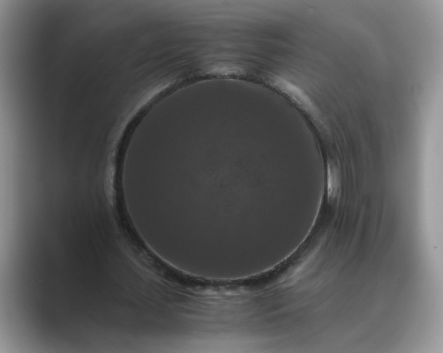 X0000089670627200707051549