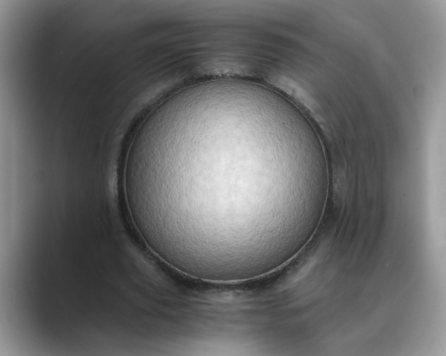 X0000089670629200707051549
