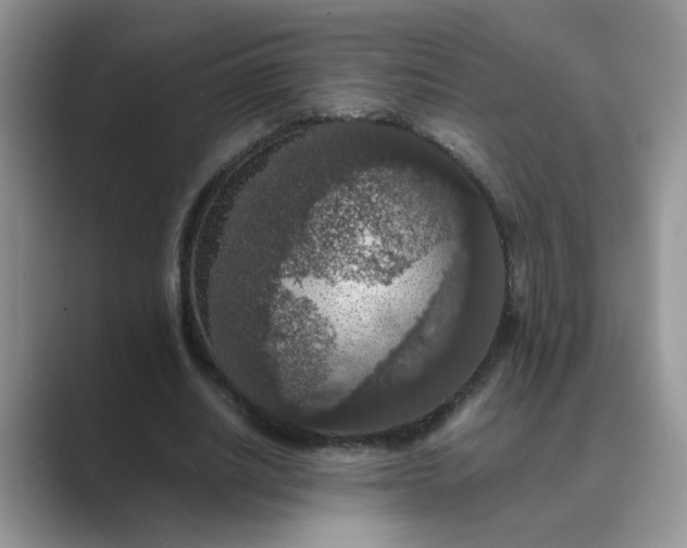 X0000089670630200707051549