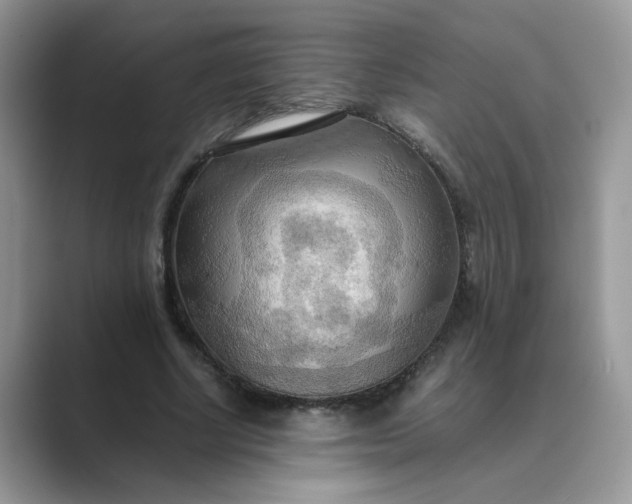 X0000089670634200707051549