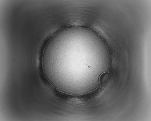X0000089670635200707051549