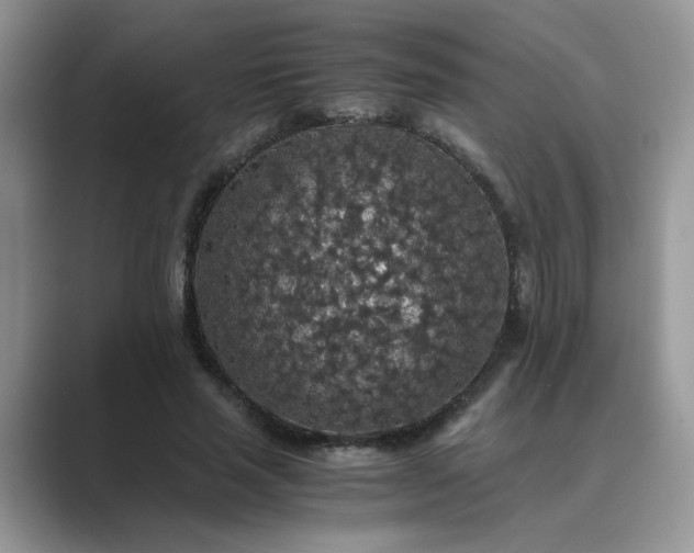 X0000089670637200707051549