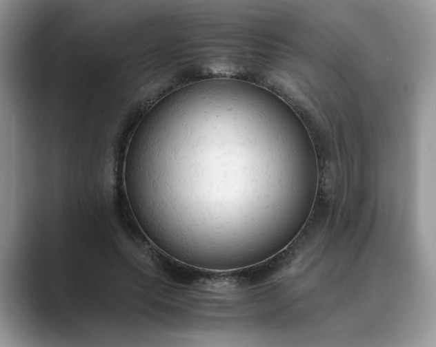 X0000089670639200707051549