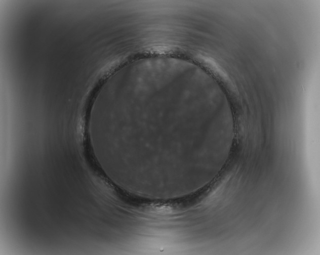 X0000089670640200707051549