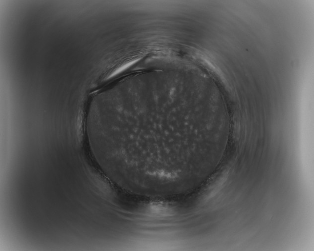 X0000089670641200707051549