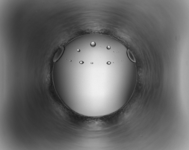 X0000089670642200707051549