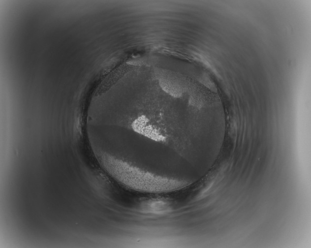 X0000089670643200707051549