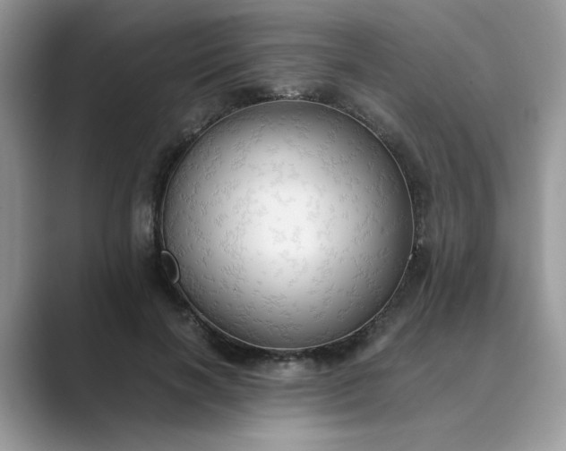 X0000089670646200707051549