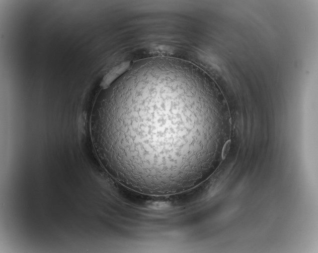 X0000089670649200707051549