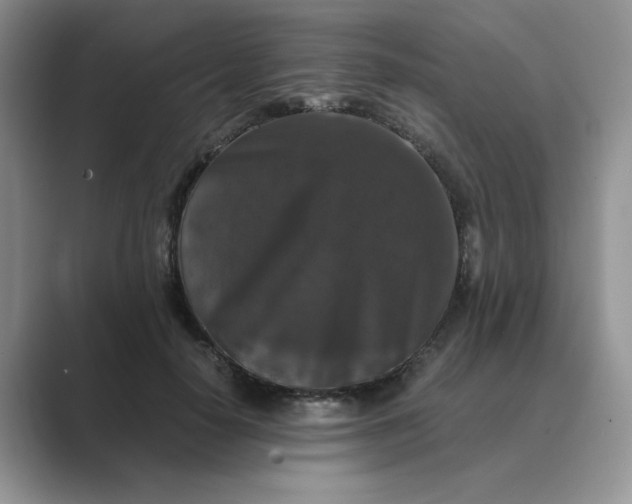 X0000089670650200707051549
