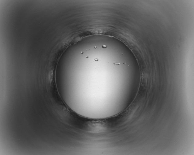 X0000089670652200707051549