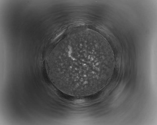 X0000089670653200707051549
