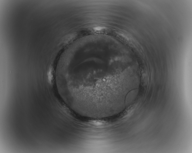 X0000089670654200707051549